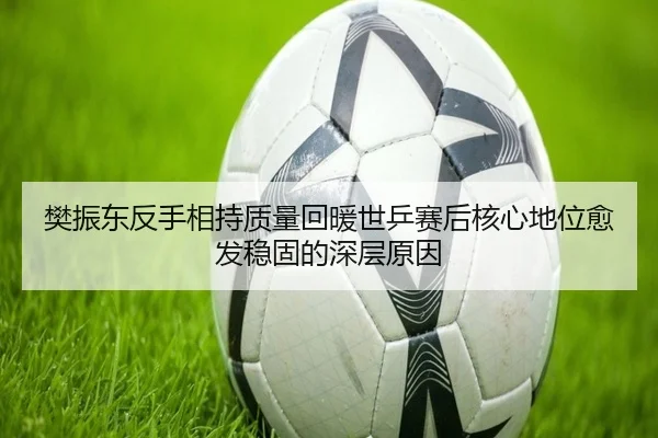 樊振东反手相持质量回暖世乒赛后核心地位愈发稳固的深层原因
